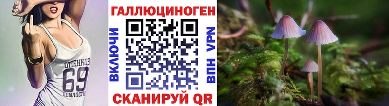 Галлюциногенные грибы GOLDEN TEACHER  Купить где  Мирный 
